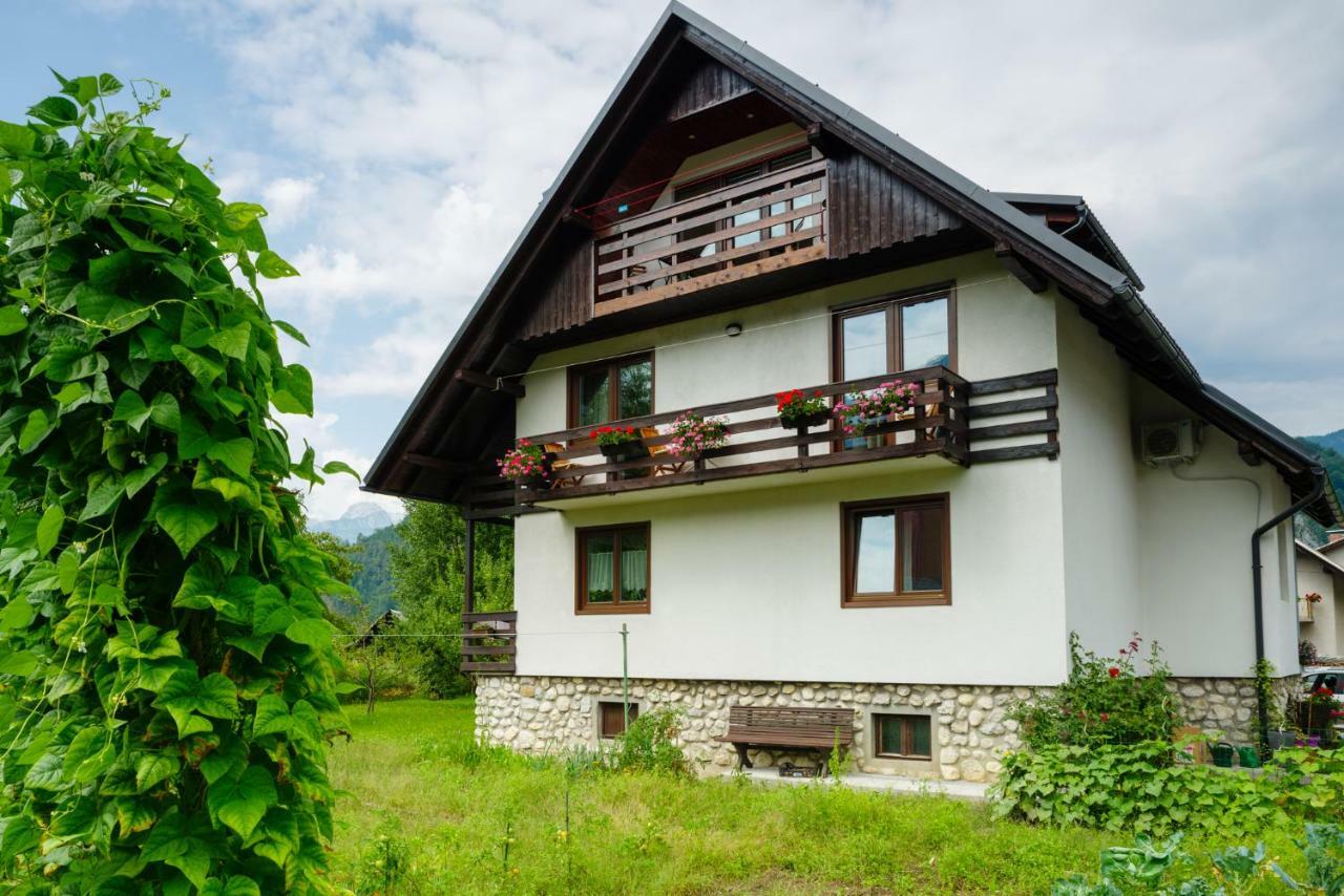 Apartment Ana Bohinj Exterior photo